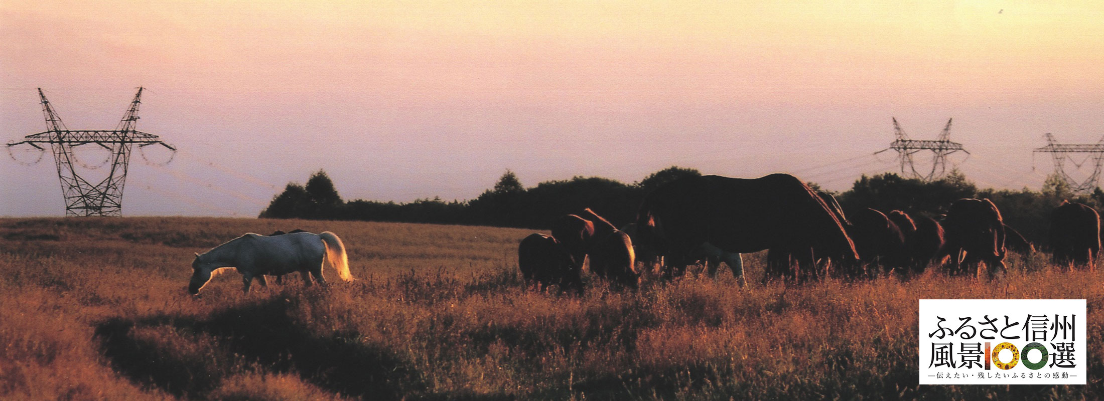 蓼科牧場(立科町)