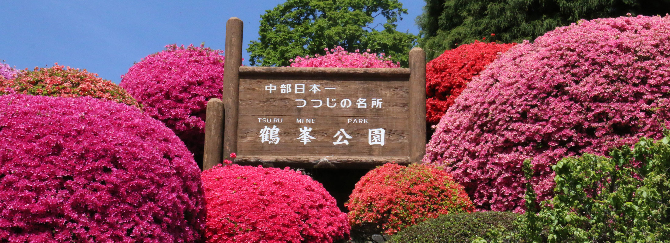 つるみね公園