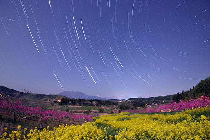 春の夜明け