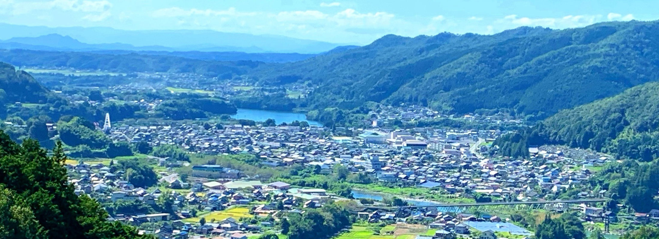 緑に囲まれた町の風景