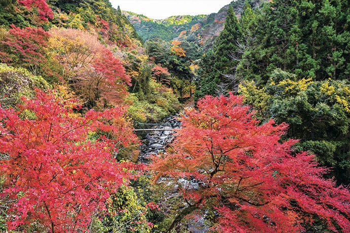 愛鷹山系随一の自然美を誇る「須津川渓谷」