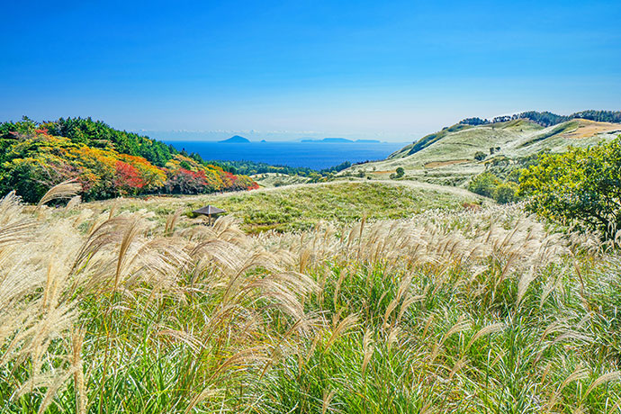 天城山と伊豆諸島を望む細野高原の眺望