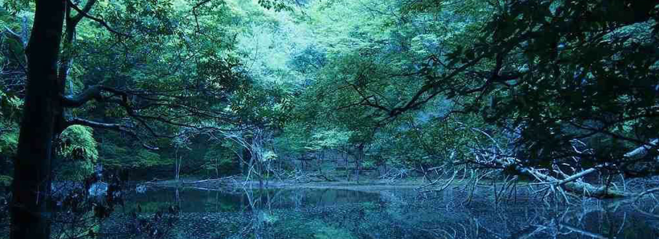 トップスライド2