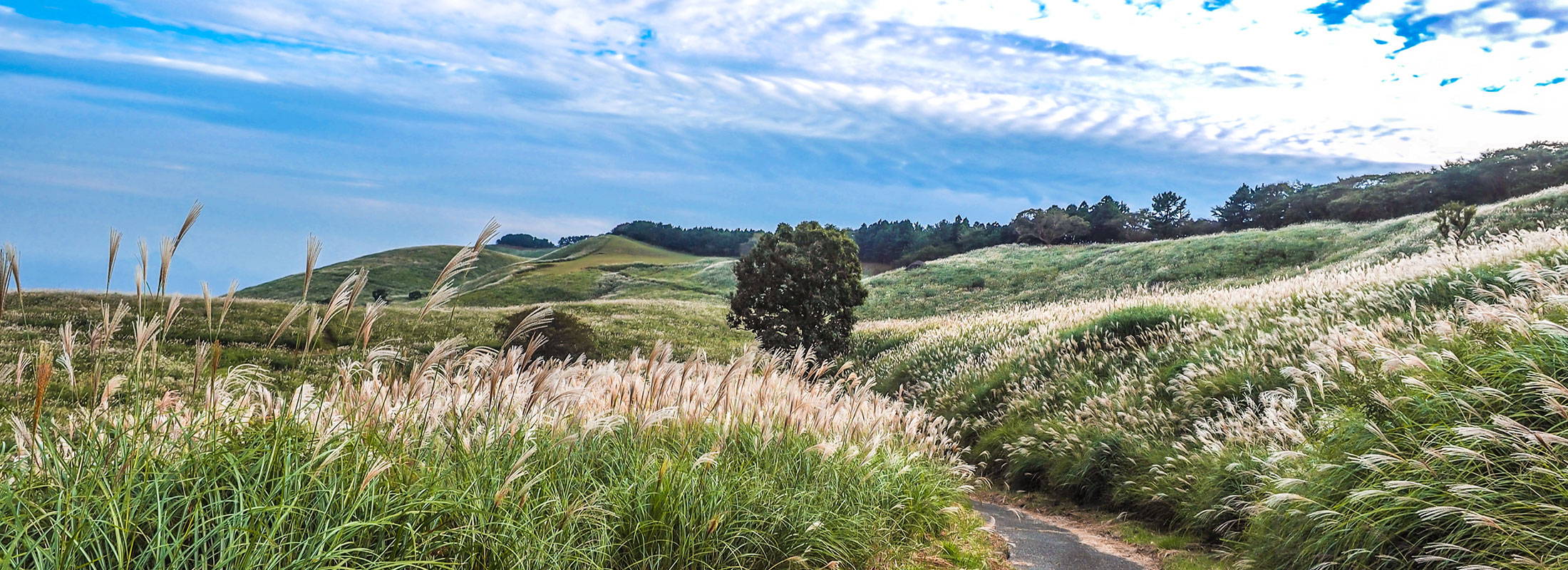 トップスライド3