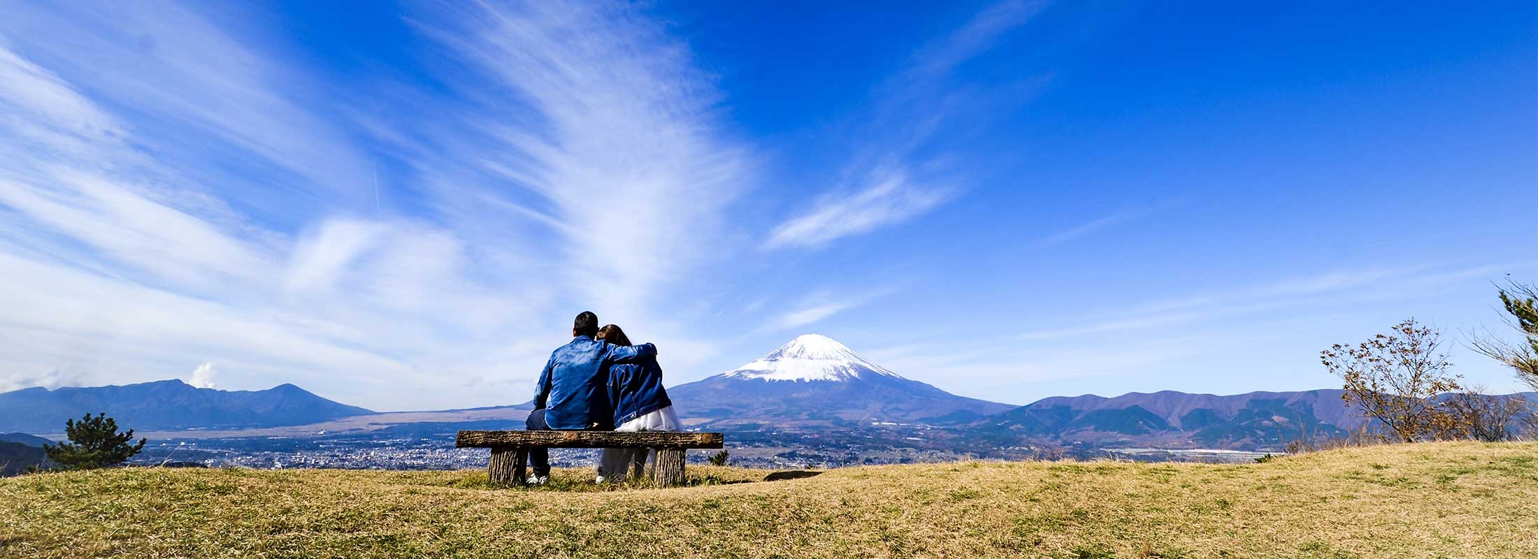 スライド画像③