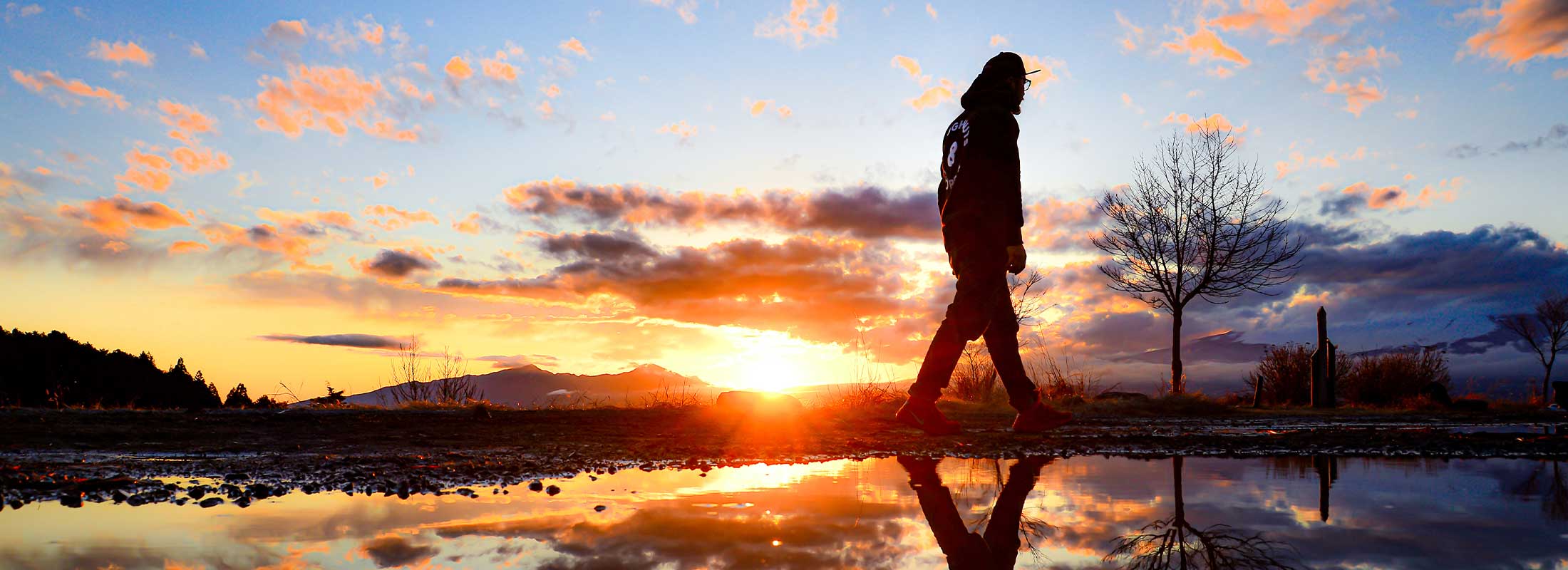 スライド画像④