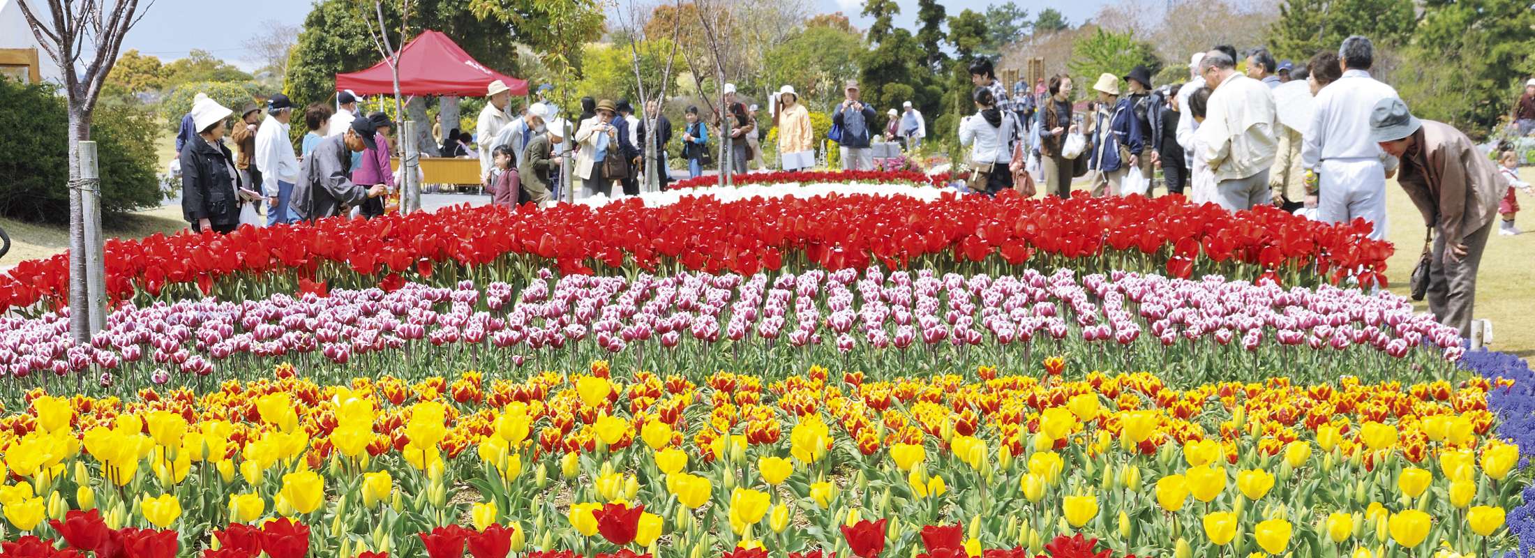 吉田公園