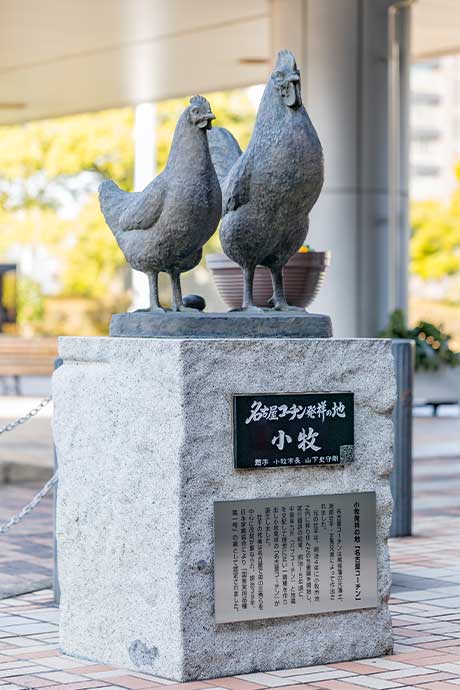名古屋コーチン