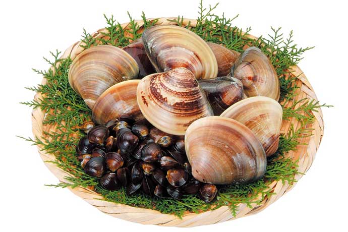 はまぐり・しじみ