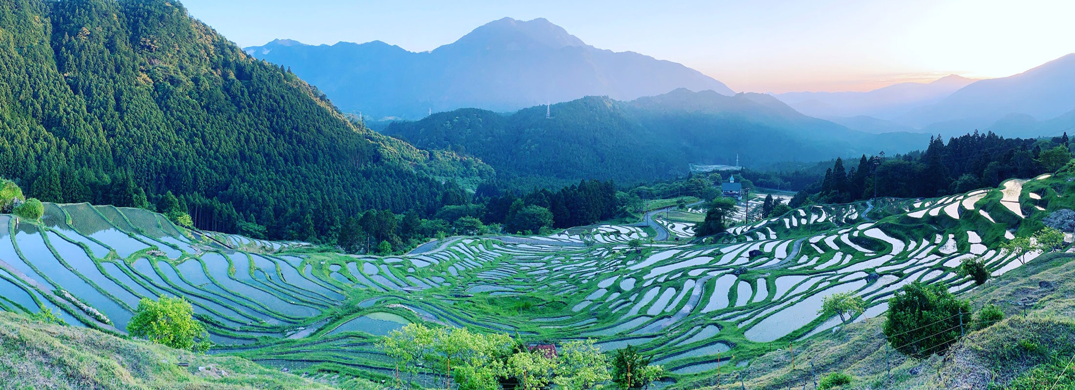 3.丸山千枚田