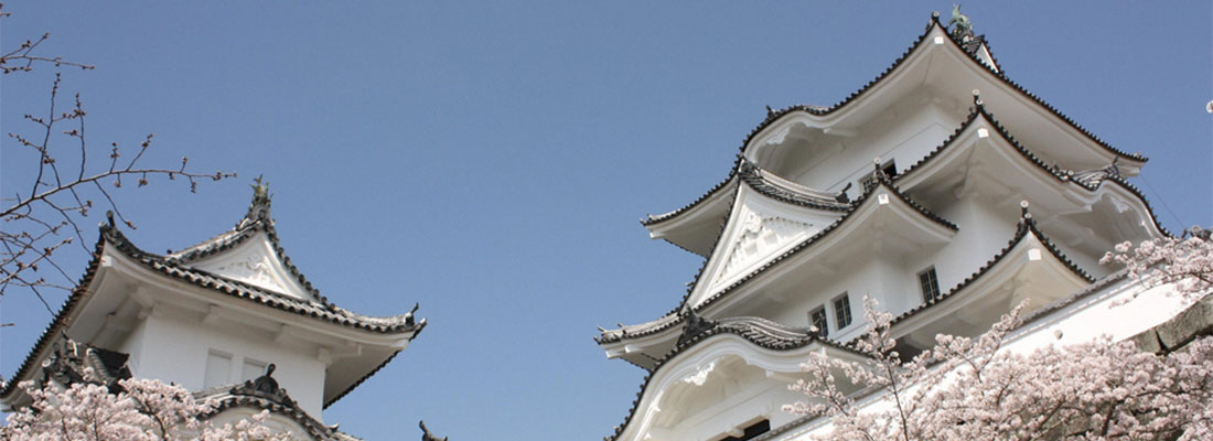 伊賀上野城