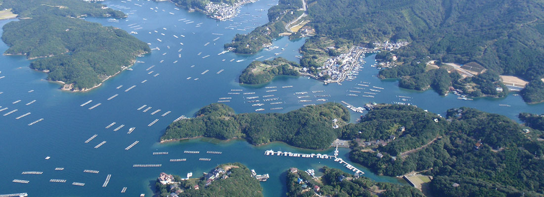 南伊勢町(上空から)