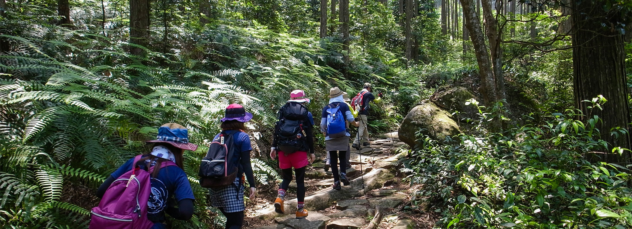 熊野古道(馬越峠)