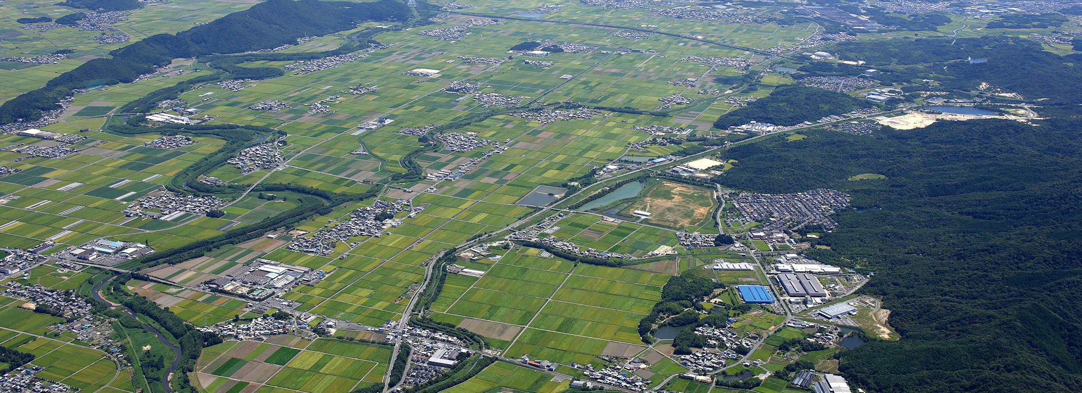 航空写真