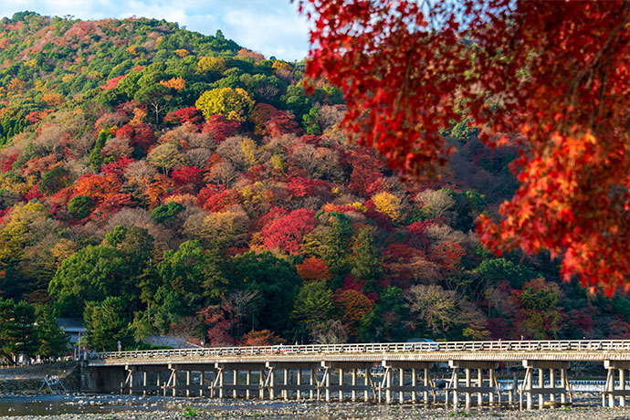 嵐山渡月橋の紅葉