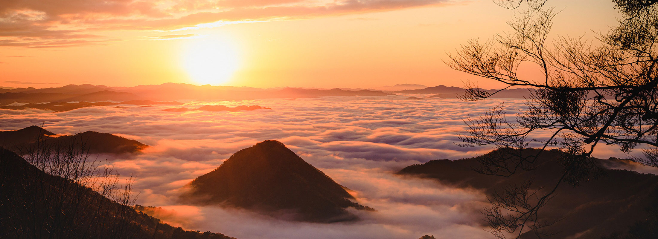 大江山の雲海