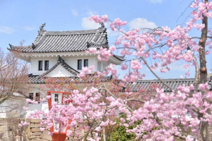 田辺城