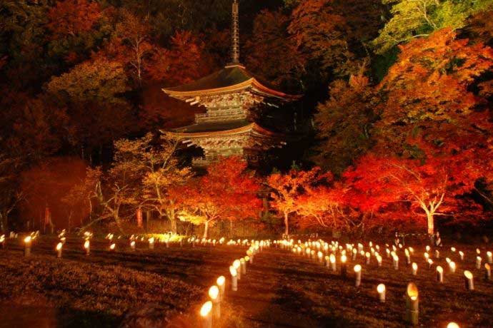 金剛院