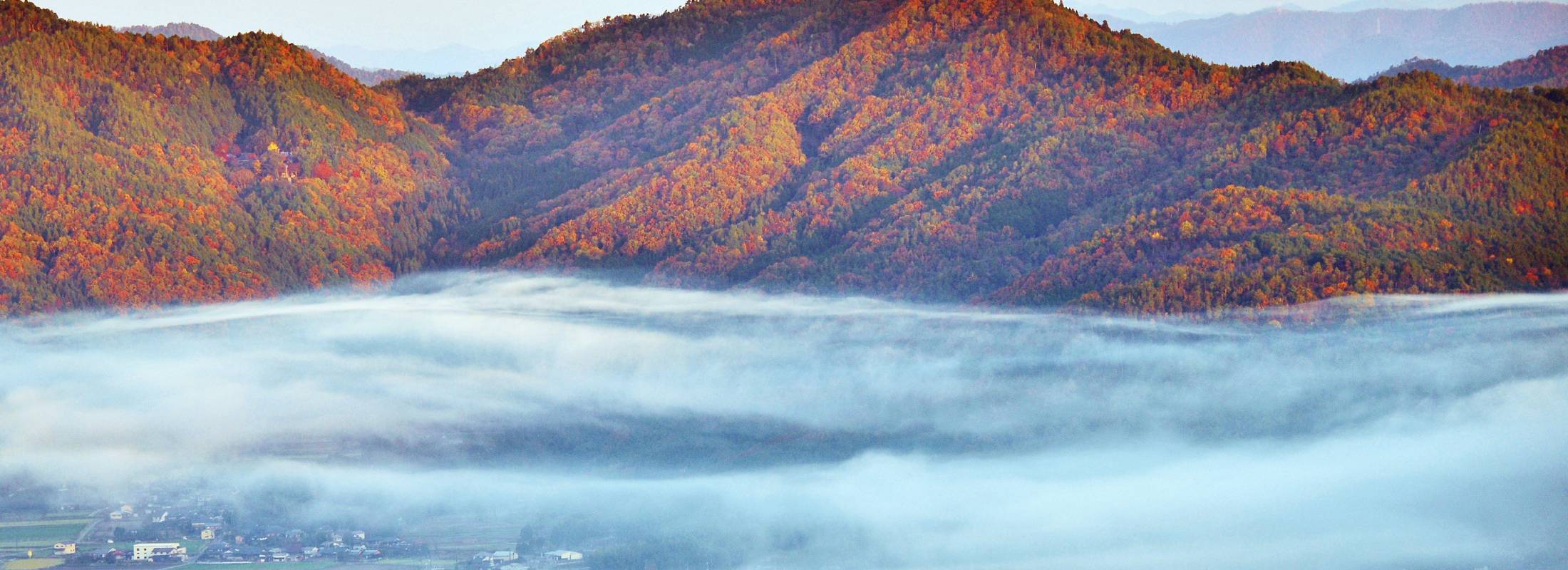錦秋の亀岡盆地h