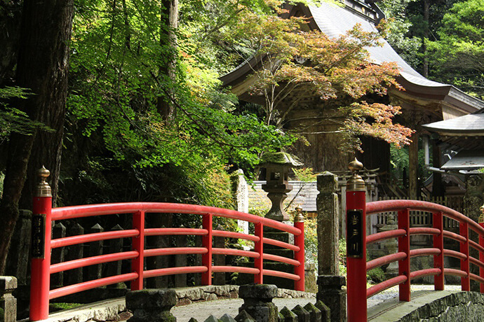 厳かな雰囲気の岩戸神社