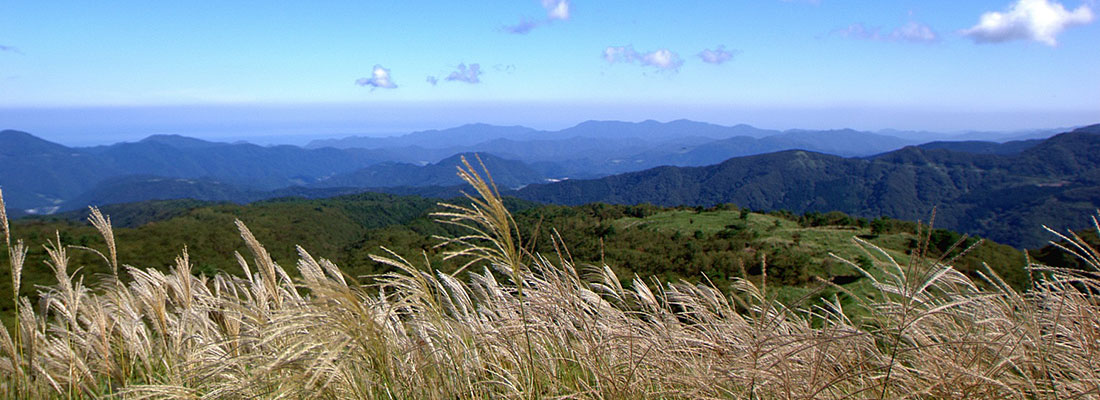 上山高原