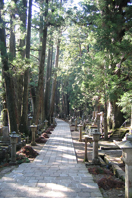 樹齢数百年の杉の木と二十万基の墓が並ぶ奥の院への道