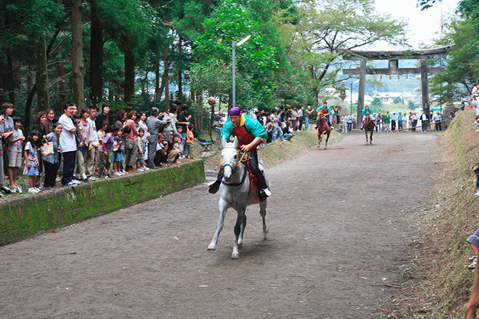 迫力ある馬駆け