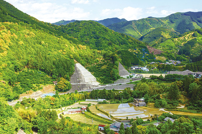 清川の里山風景