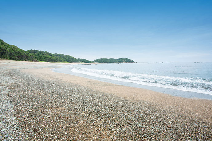 アカウミガメの産卵地