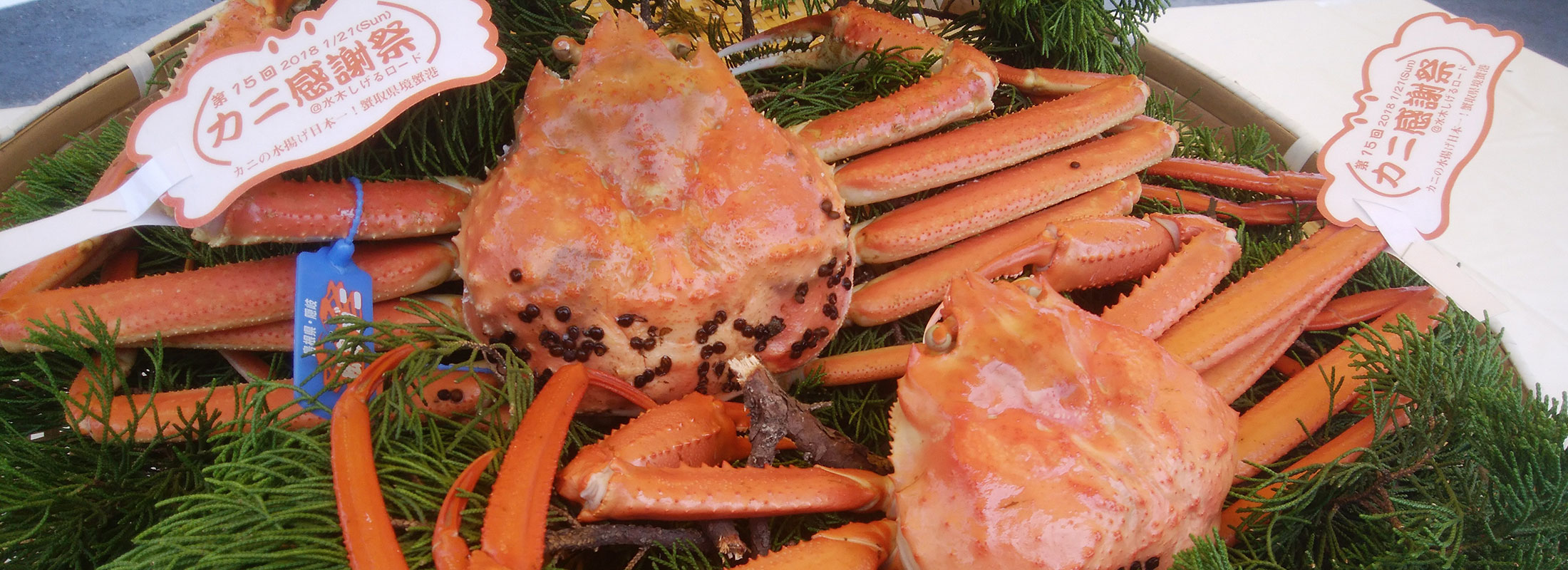 カニ感謝祭(ずわい・ベニ)