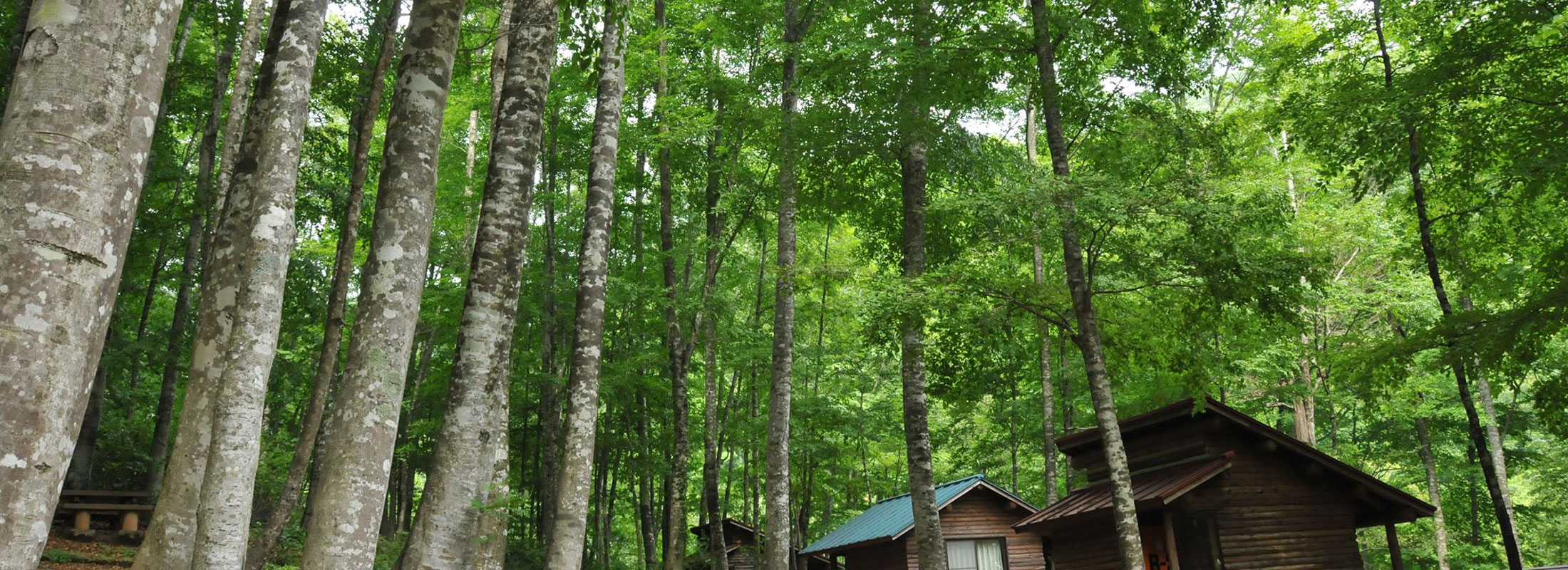 八東ふる里の森