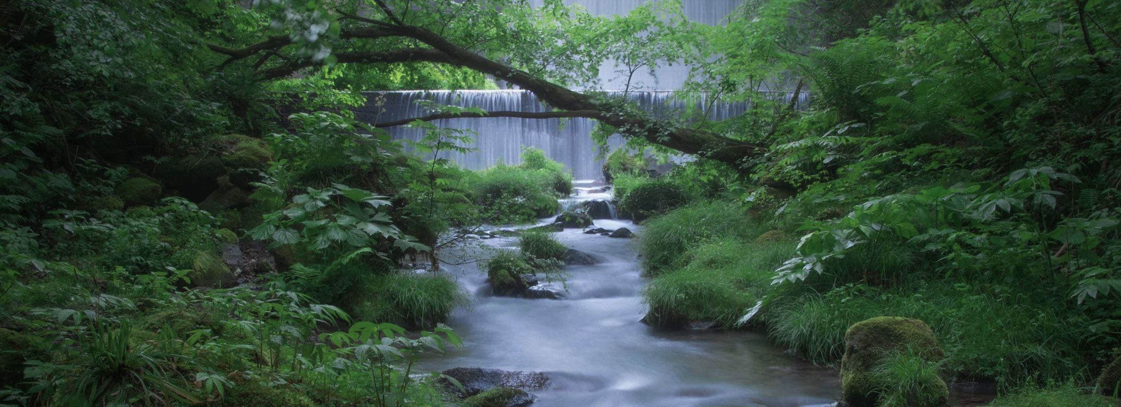 木谷沢渓流