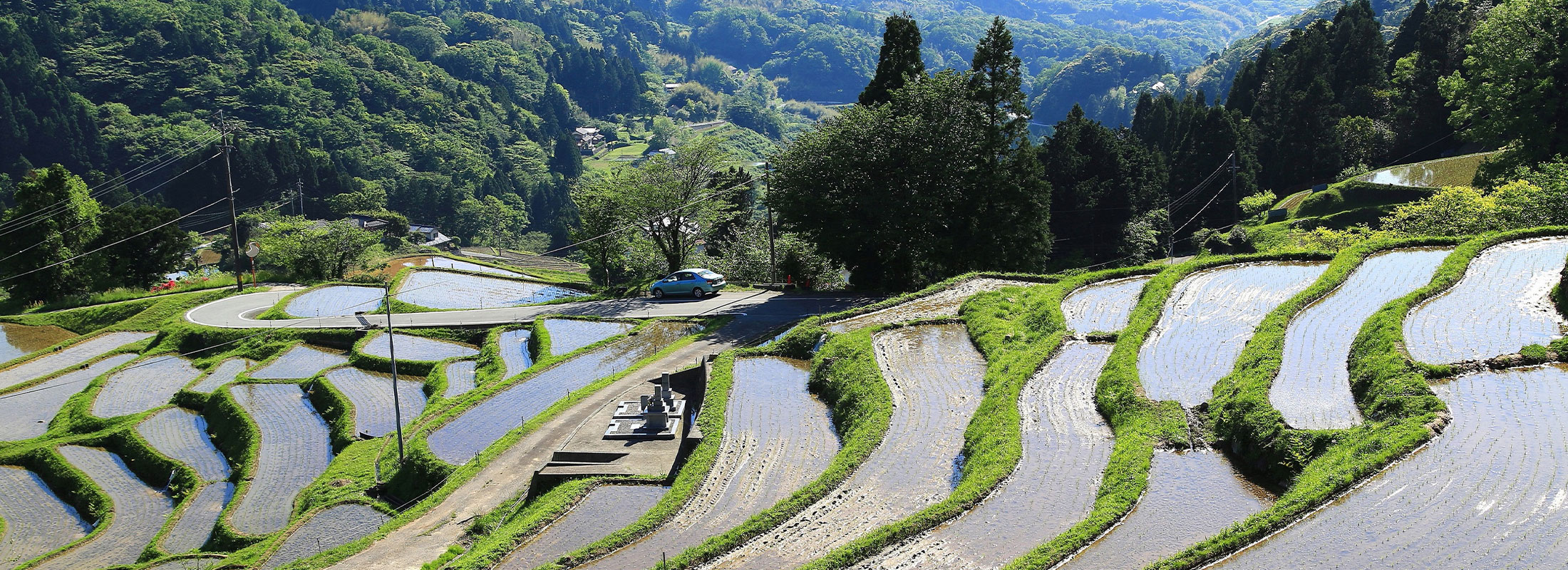 16042「昼下がりの棚田」