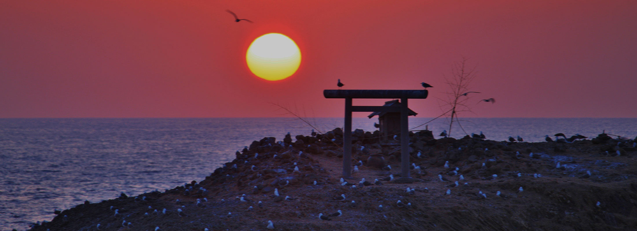 日御碕 経島