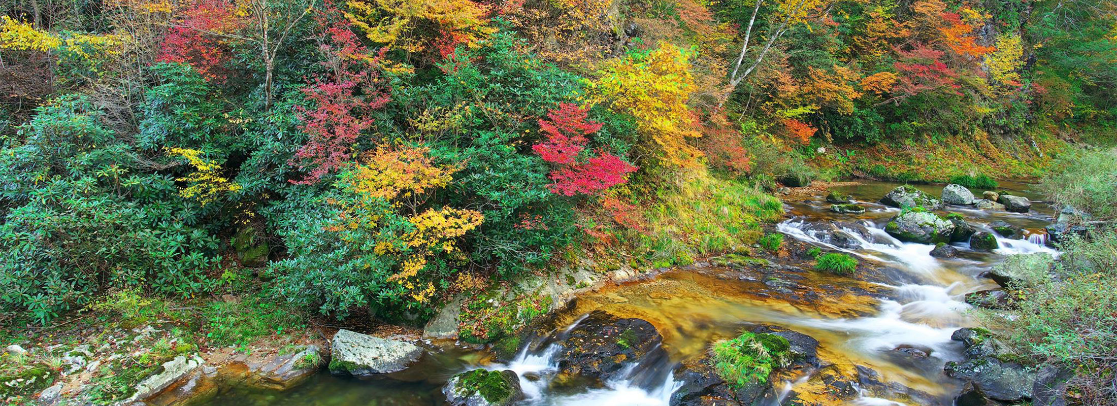 03_秋_三室峡(神郷油野)