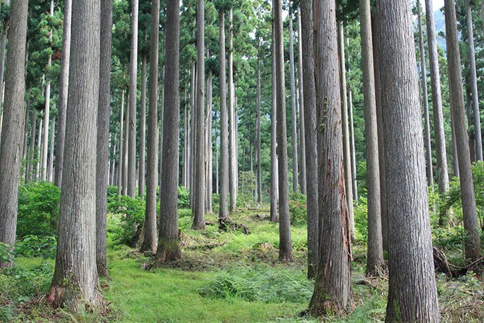 岡山県西粟倉村 | 自治体詳細 | 三越伊勢丹ふるさと納税