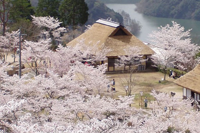 三休公園