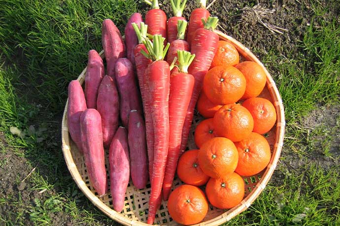 坂出三金時（金時いも・金時人参・金時みかん）