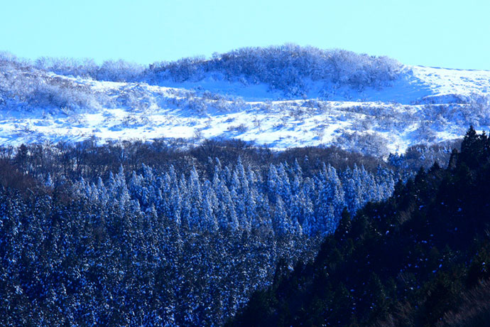 雪の中を歩いて観察　冬の大川峯連峰