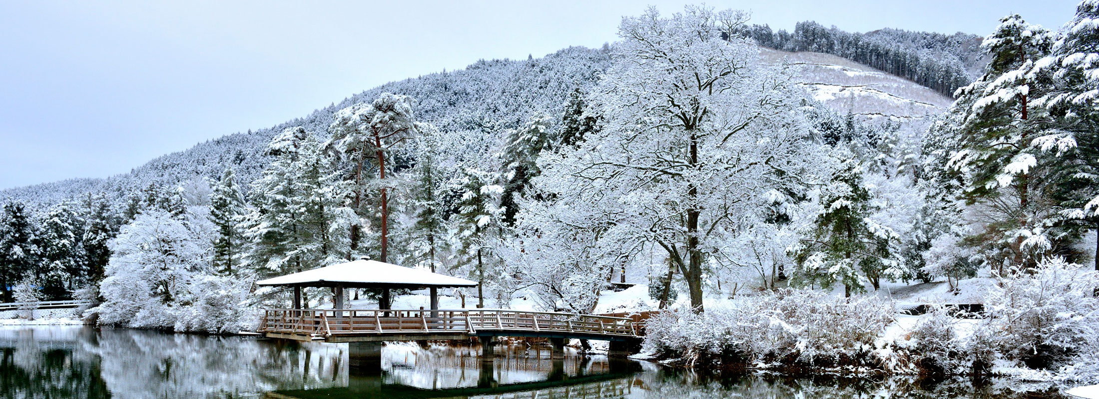 笛ヶ滝公園
