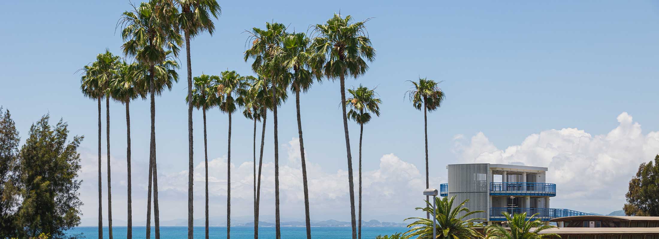 ヤ・シィパーク