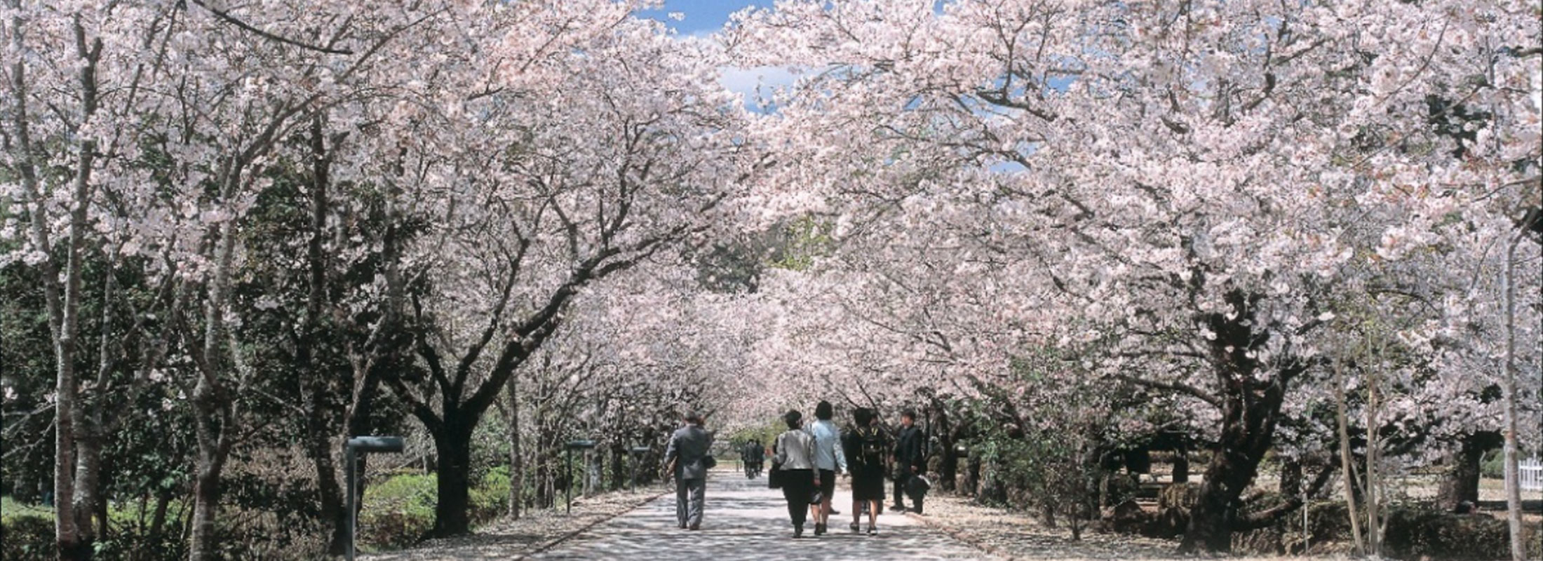 鏡野公園.jpg