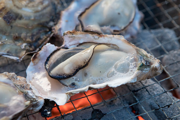 冬の味覚「豊前海一粒かき」