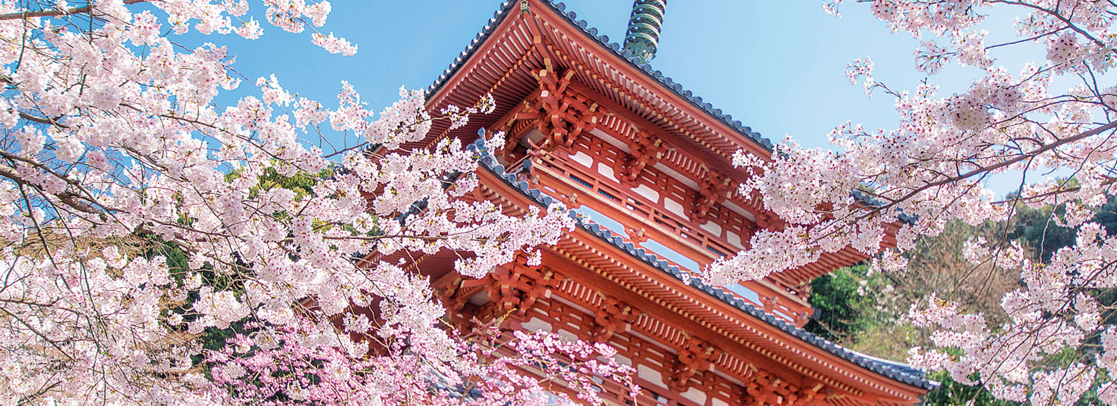 清水寺三重塔