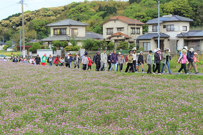 篠栗春らんまんハイキング