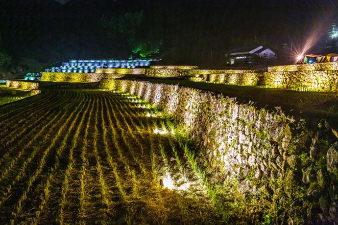 棚田ライトアップ(11月)