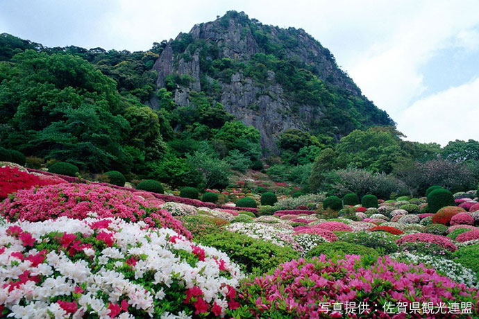 御船山楽園のツツジ