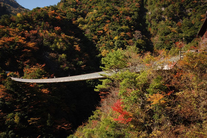 梅の木轟吊橋