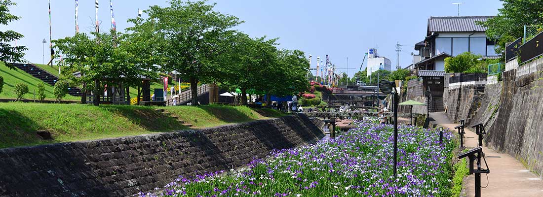髙瀬裏川花しょうぶまつり(6月)
