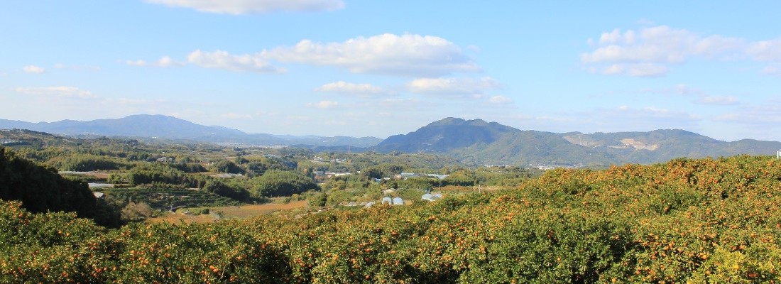 みかん畑から木葉山